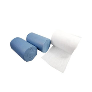 DS1125-Lint Absorbent, 500 Gm