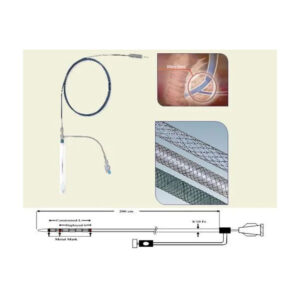 DUODENAL STENT
