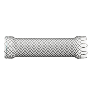ESOPHAGEAL STENTS