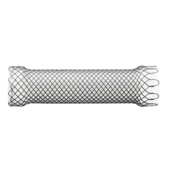 ST1006 - Esophageal Stent