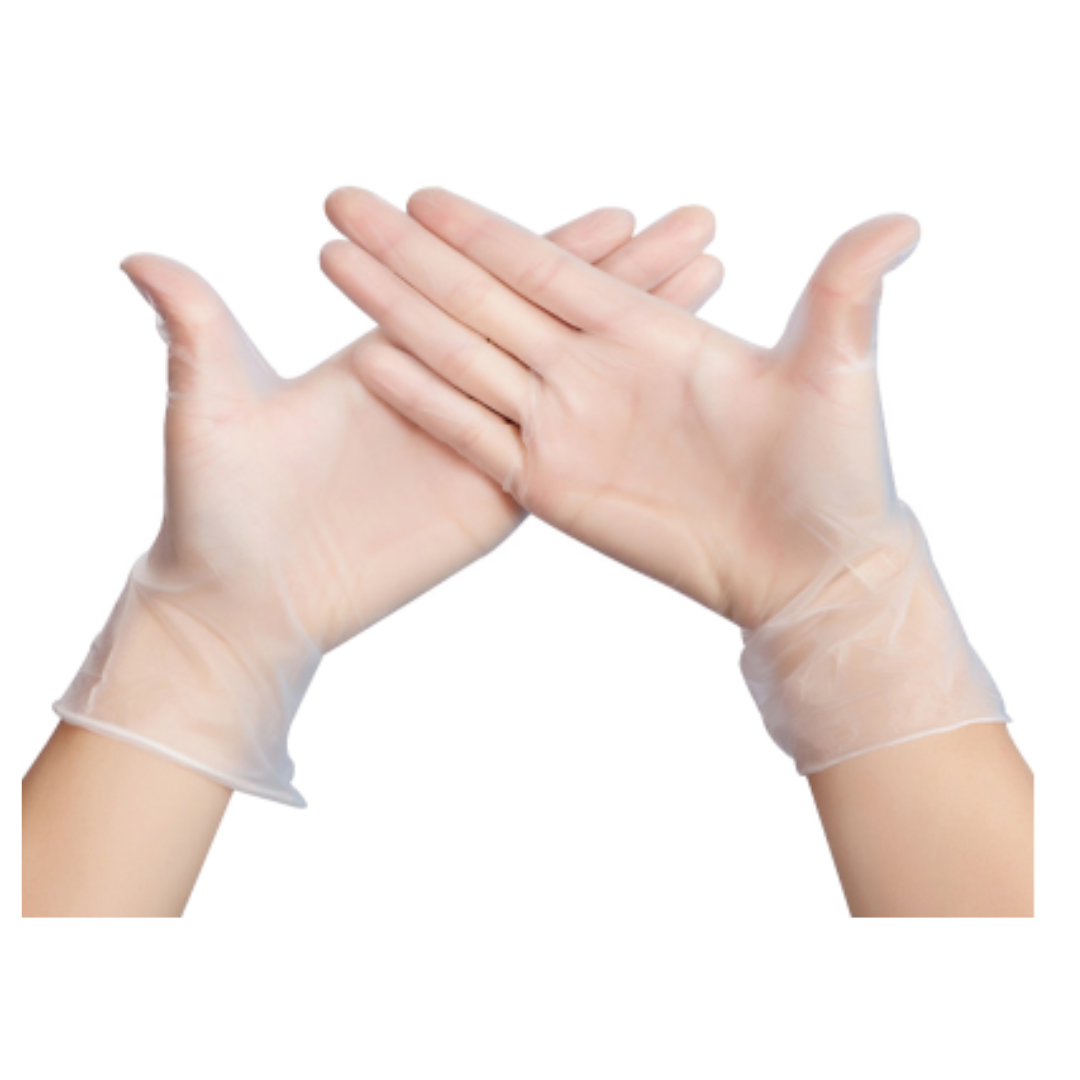 Examination Gloves - Vinyl