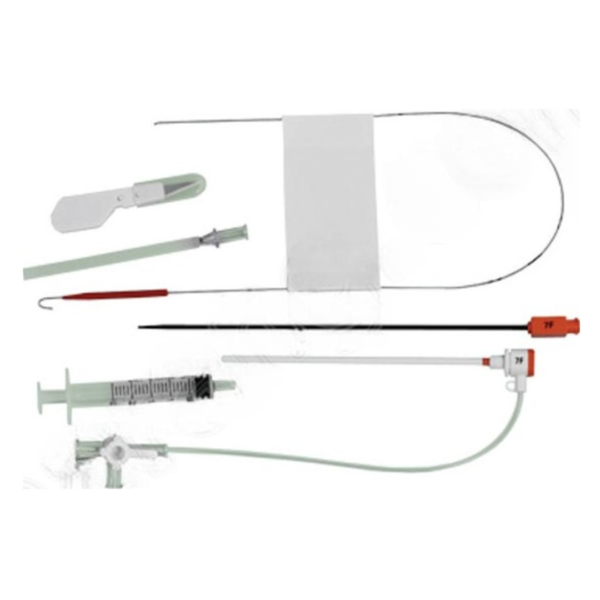 Femoral Introducer Set