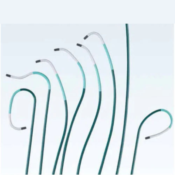 Guiding Catheters