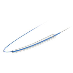 DS1201 – PTCA Balloon Dilatation Catheters