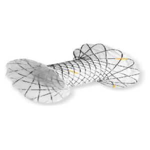 BILIARY & PANCREATIC STENTS