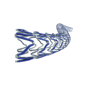 ST1016-Sirolimus-Eluting Coronary Stent System