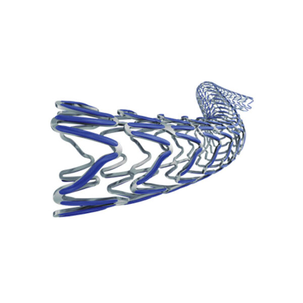 ST1016-Sirolimus-Eluting Coronary Stent System