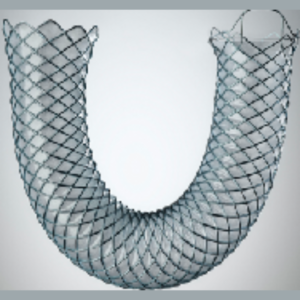 BILIARY STENT