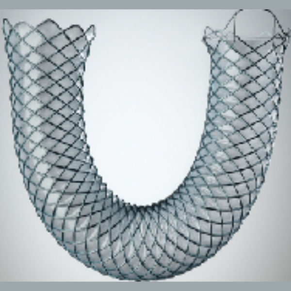 Uncovered Biliary Stent