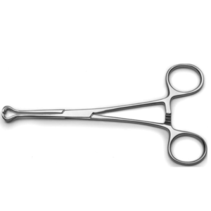 GS1092-BABCOCK FORCEPS